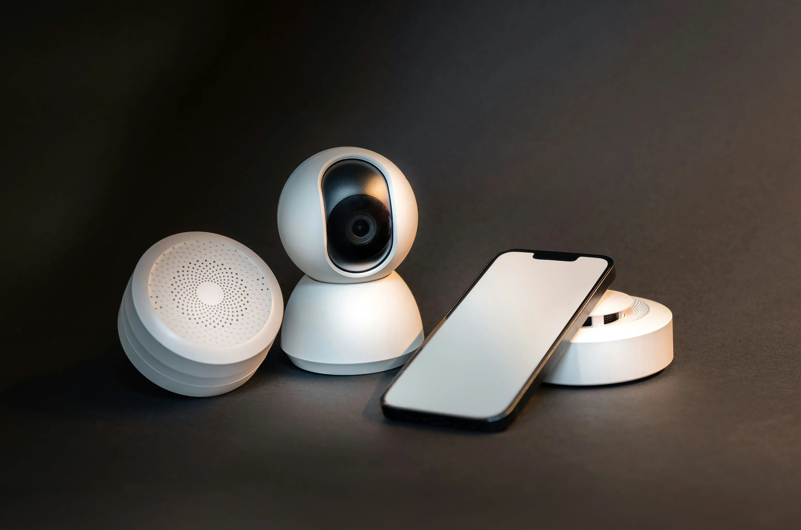 Các thiết bị giám sát bao gồm điện thoại thông minh và webcam