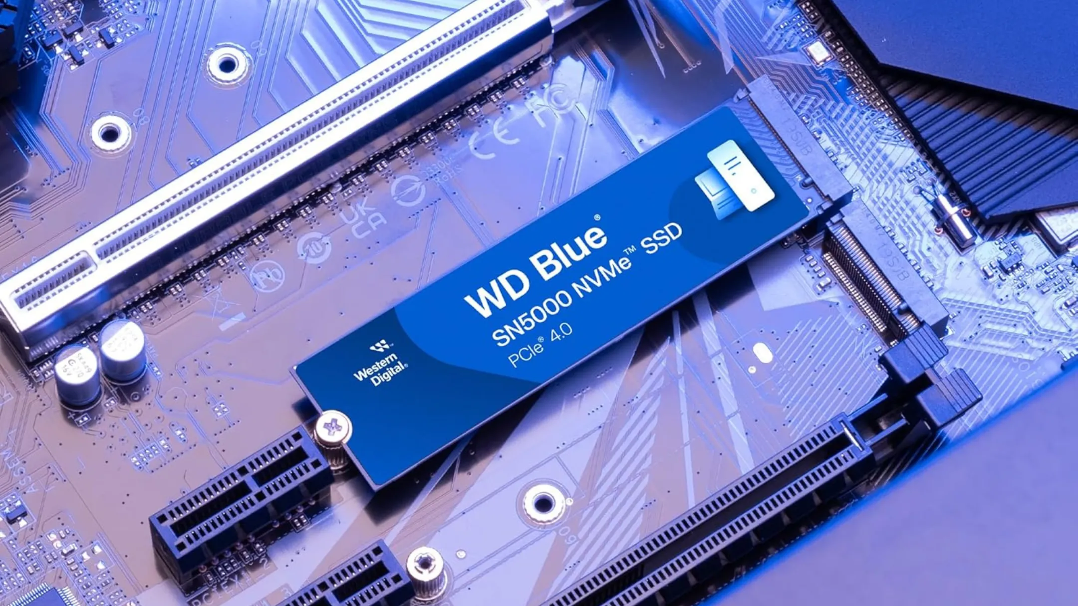 Cận cảnh ổ cứng SSD Western Digital WD Blue SN5000 M.2 NVMe