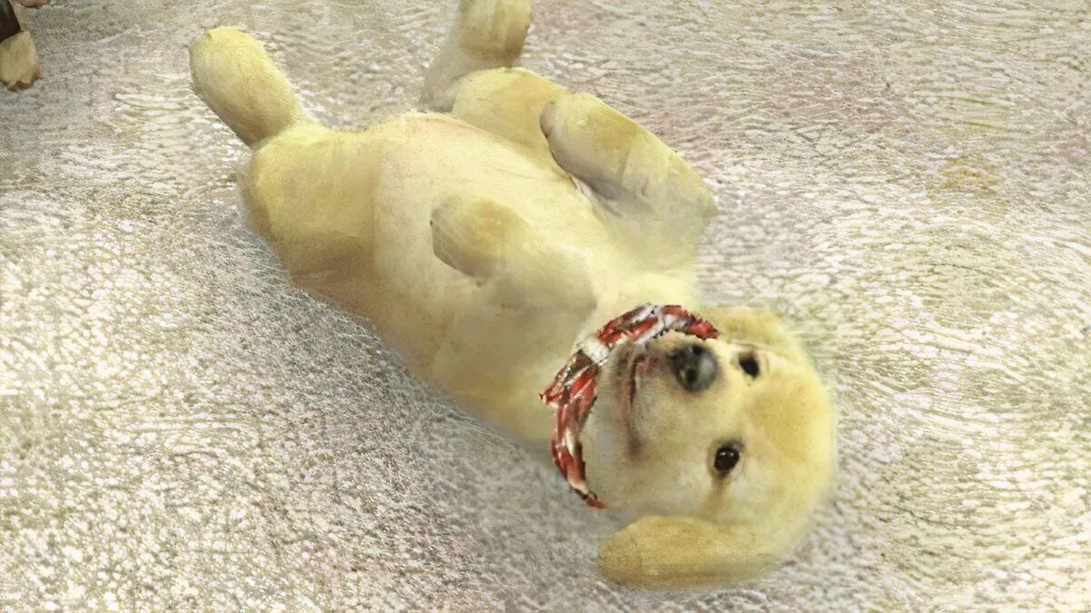 Chú chó Golden Retriever con đáng yêu trong game Nintendogs trên Nintendo DS