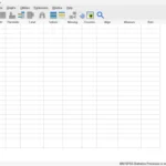 Giao diện chính của phần mềm phân tích dữ liệu SPSS hiển thị tab Data View để nhập liệu và tab Variable View để định nghĩa các biến số.