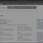 Giao diện công cụ chụp ảnh web trong trình duyệt Microsoft Edge