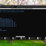 Giao diện dòng lệnh Git đang chạy trên Windows 11 thông qua WSL, minh họa khả năng quản lý phiên bản trong môi trường Linux tích hợp.