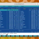 Giao diện Midnight Commander đang chạy trong terminal Linux, hiển thị hai bảng điều khiển file và menu chức năng