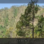 Giao diện phát video của Plex trên trình duyệt web, thiếu các tùy chọn kiểm soát tốc độ phát lại