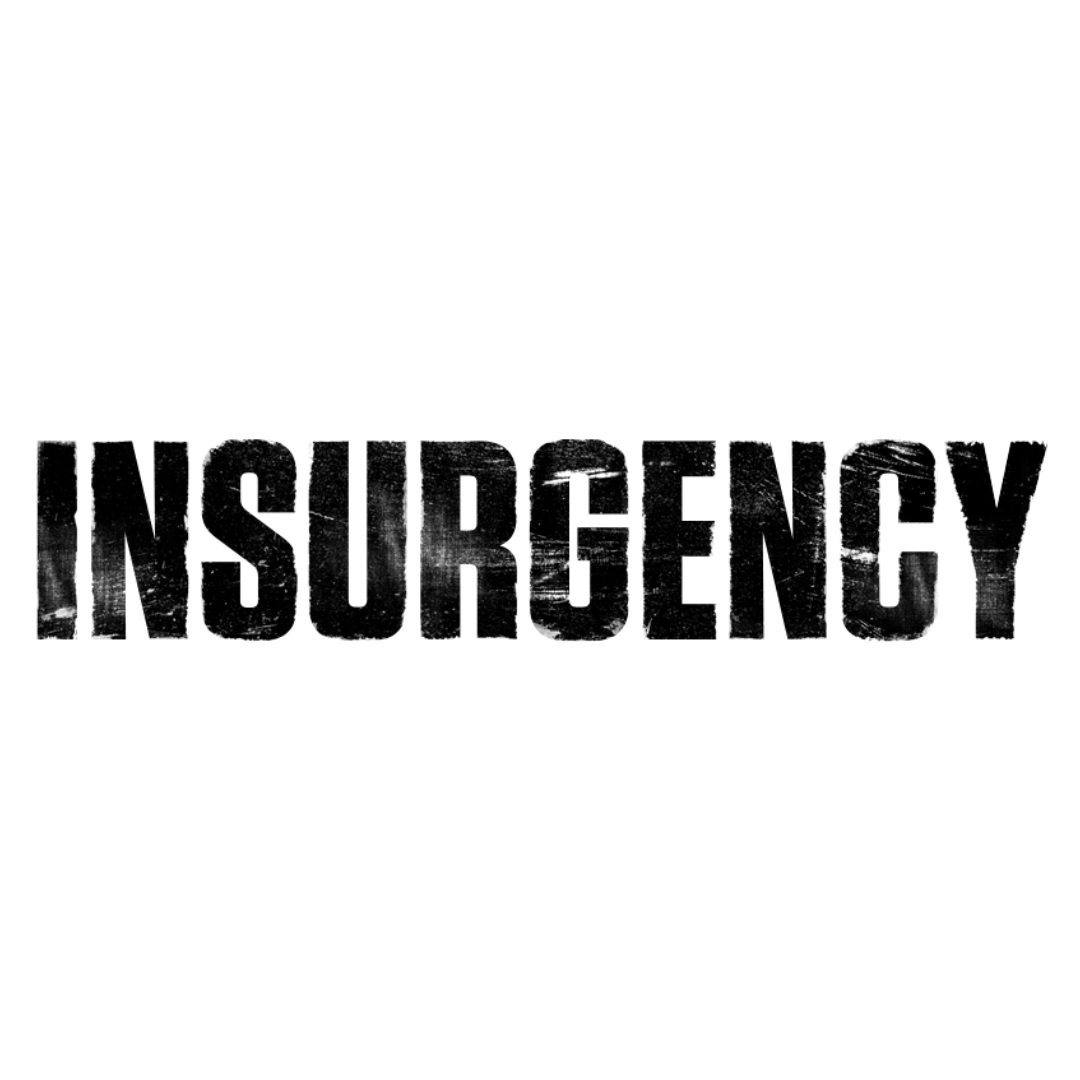 Logo game Insurgency