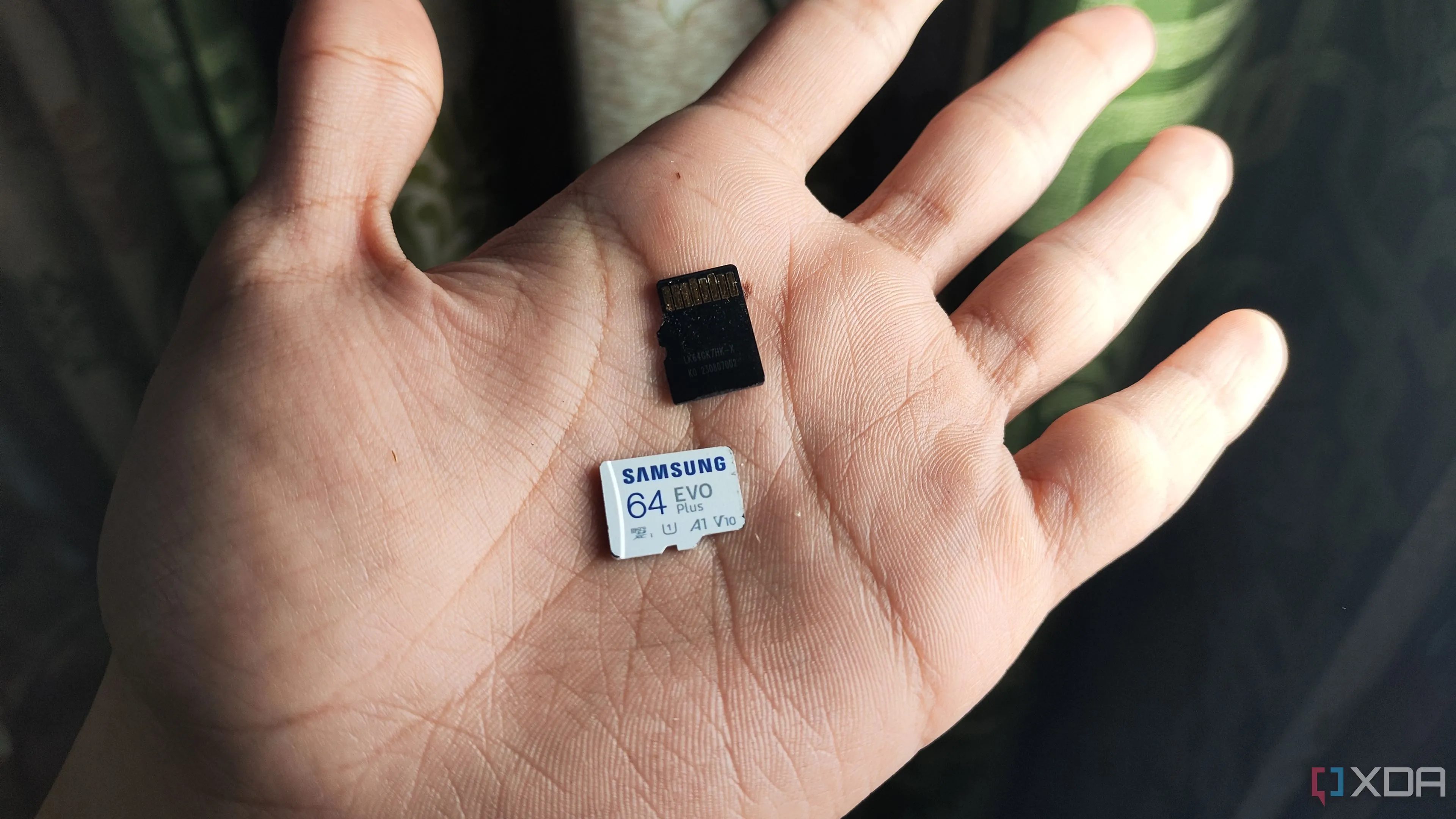 Một người đang cầm hai thẻ nhớ microSD